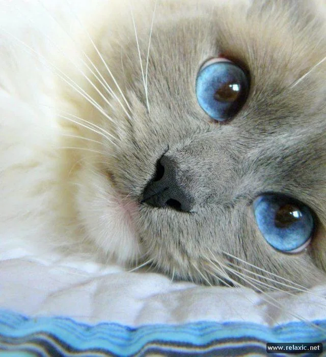image-44.webp