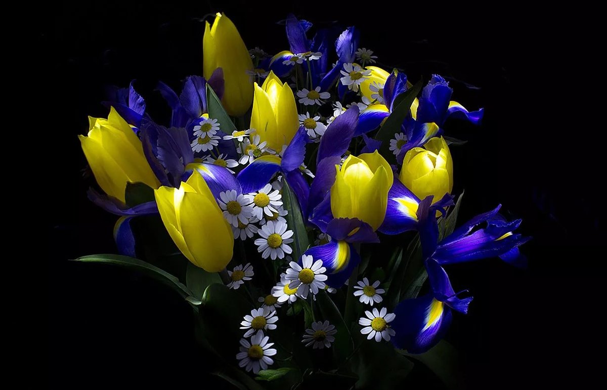 image (46).jpg