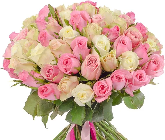 image (46).webp
