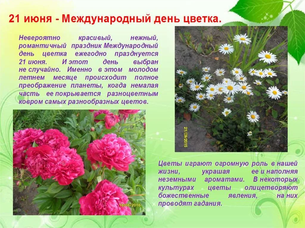 image-47.webp