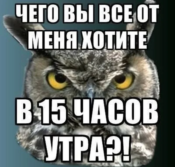 image-48.webp