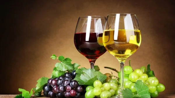 image (51).webp