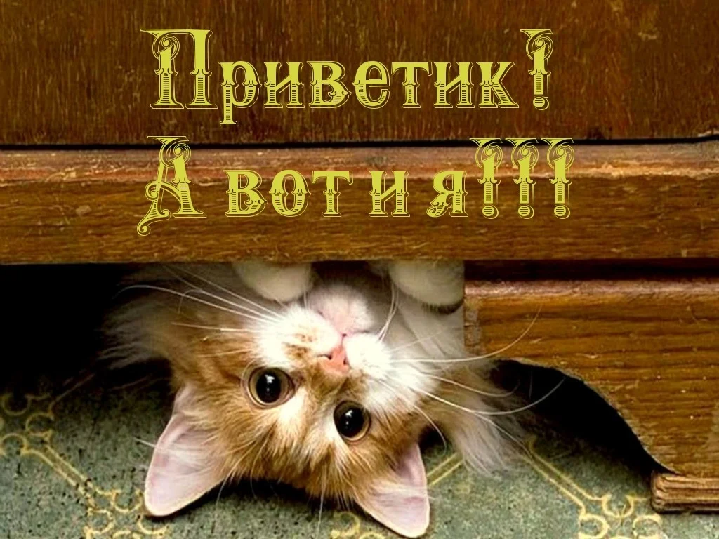 image (6).webp