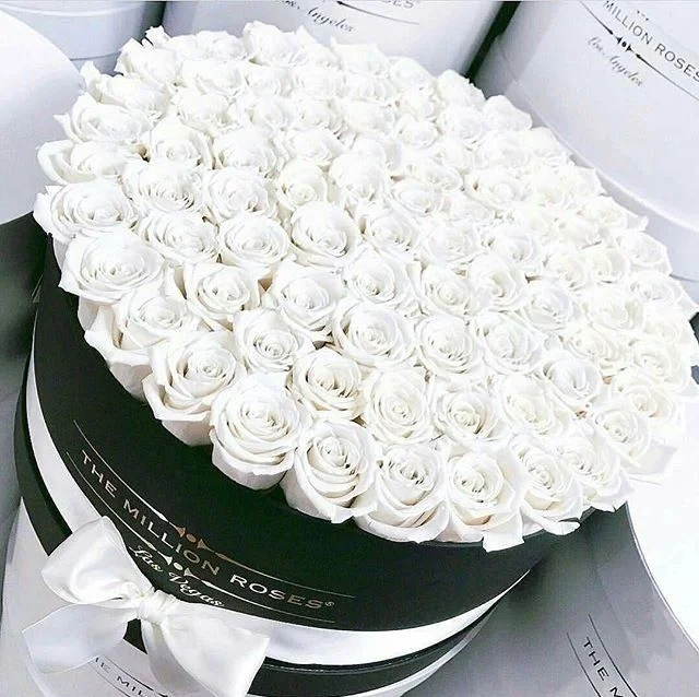 Image about white in Flower bomb? by Moonlight dance.webp