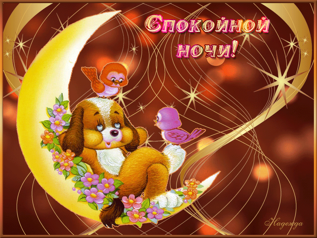 image.gif