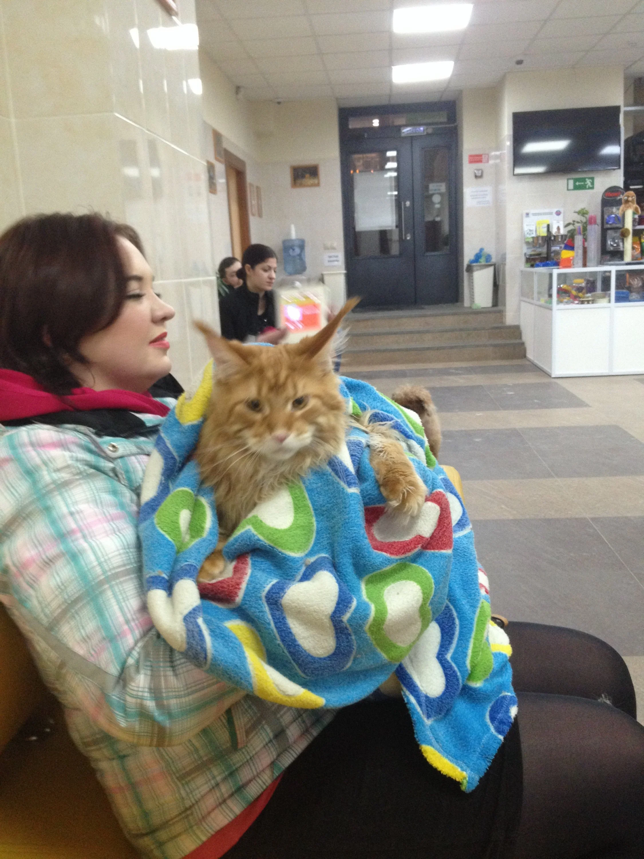 image.webp