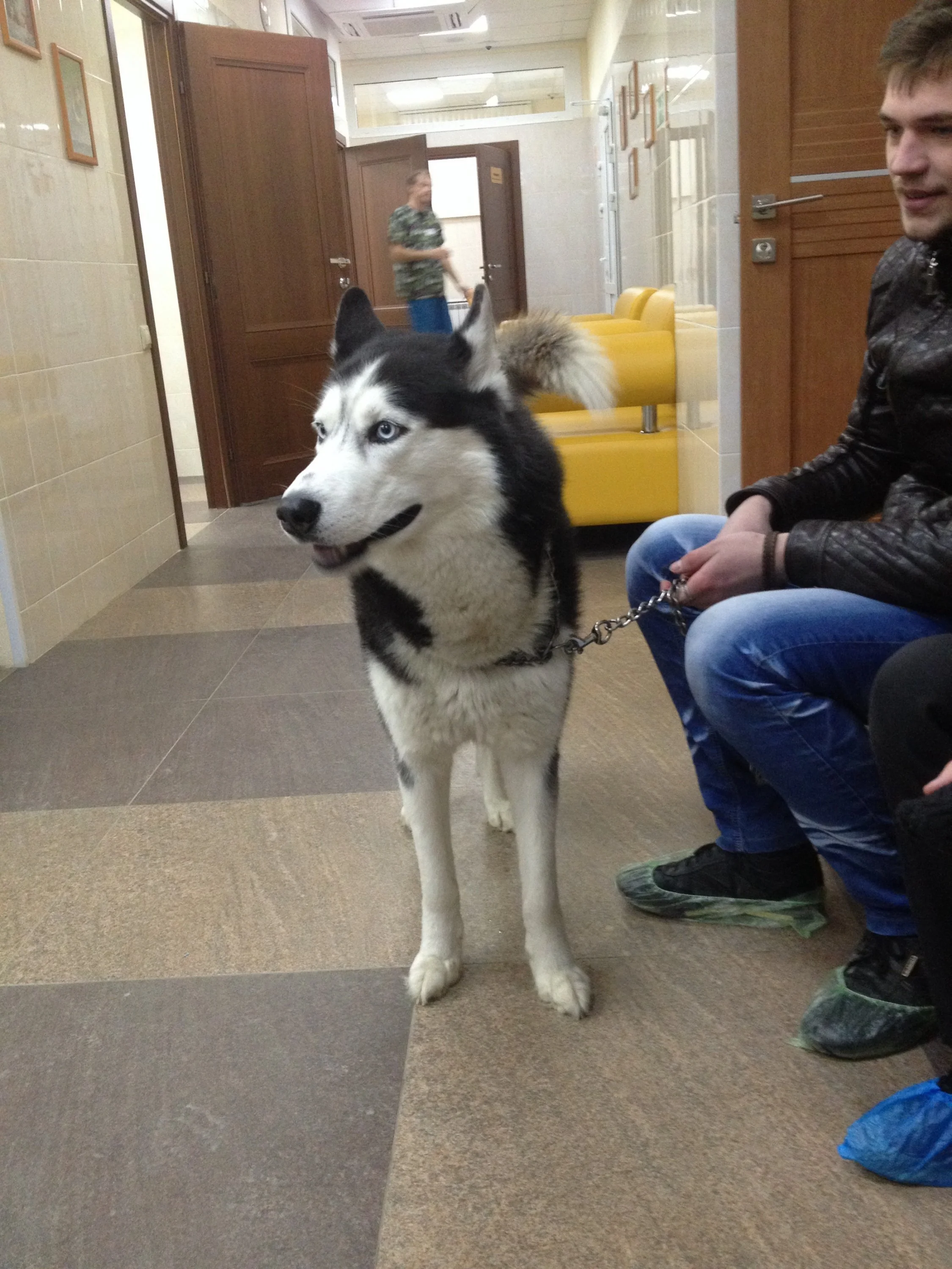 image.webp