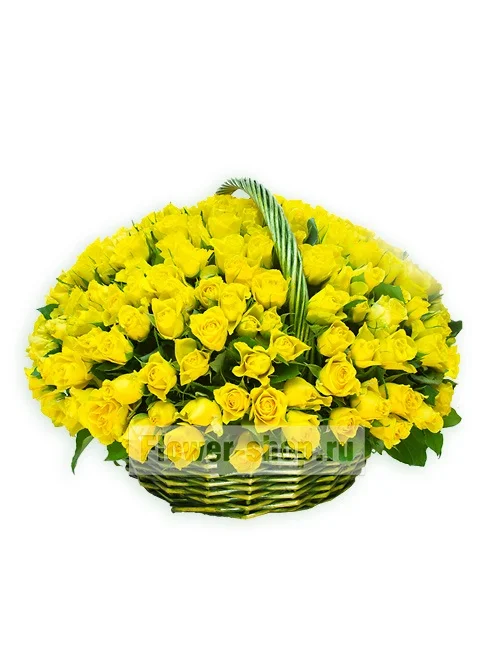 image.webp