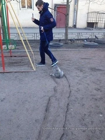 image.webp