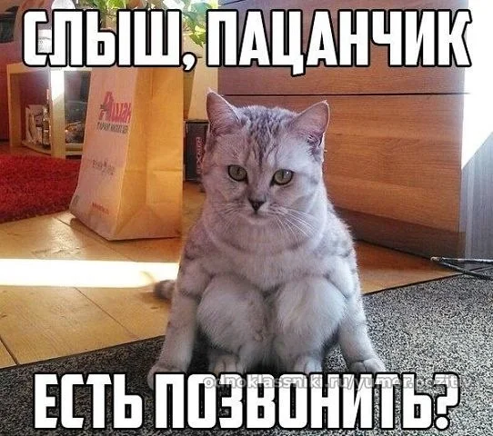 image.webp