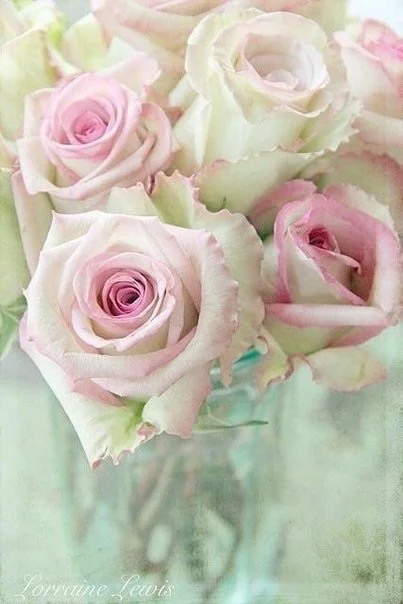 image.webp