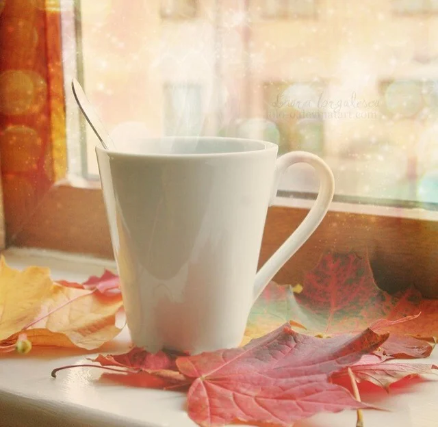 image.webp
