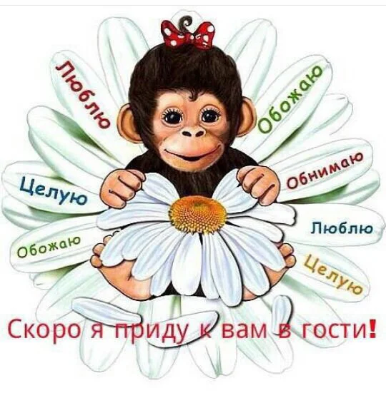 image.webp