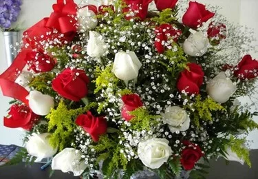 image.webp
