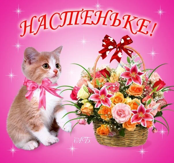 image.webp