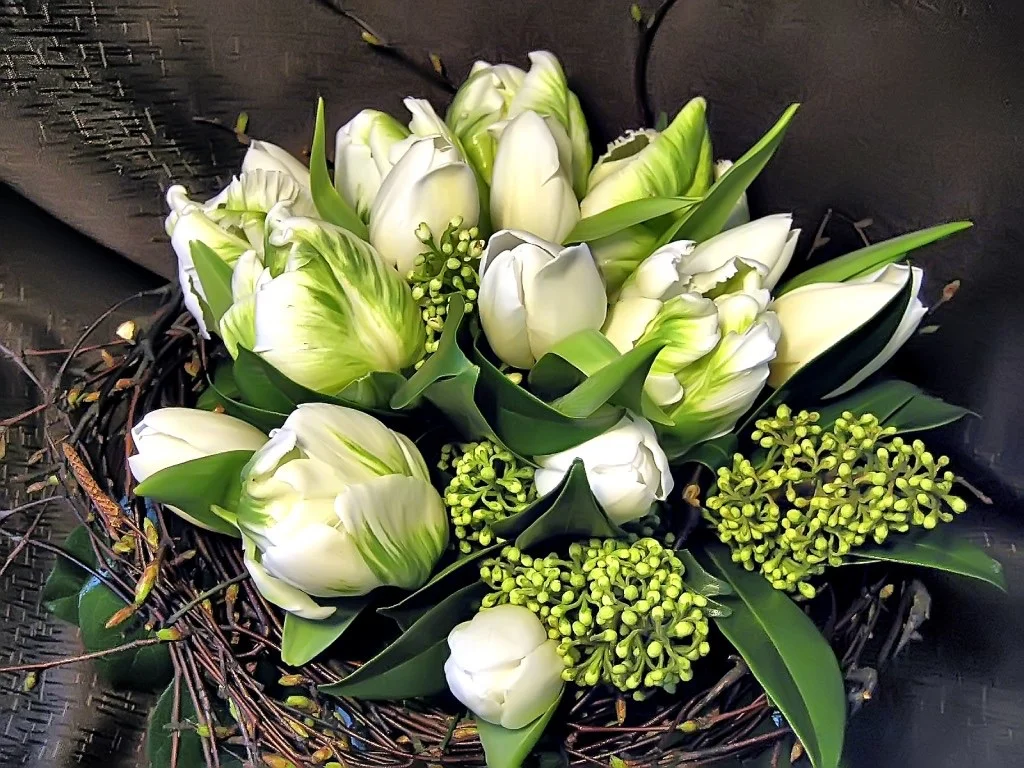 image.webp