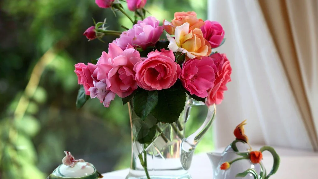 image.webp
