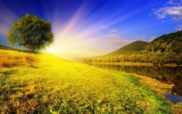 image.webp image.webp