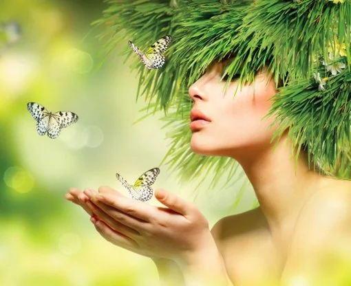 image.webp
