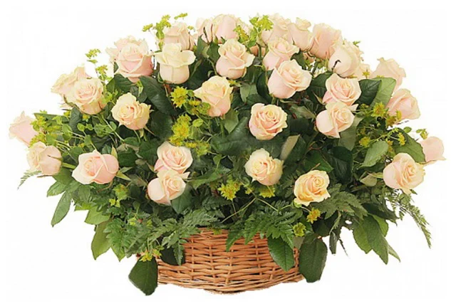 image.webp