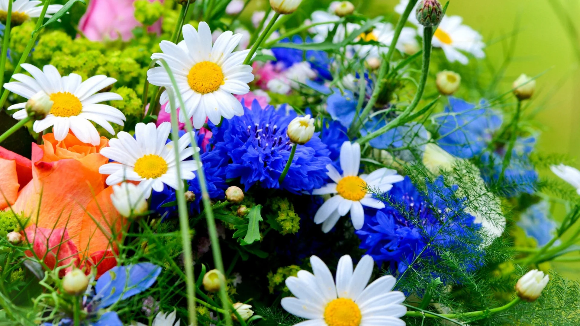 image.webp