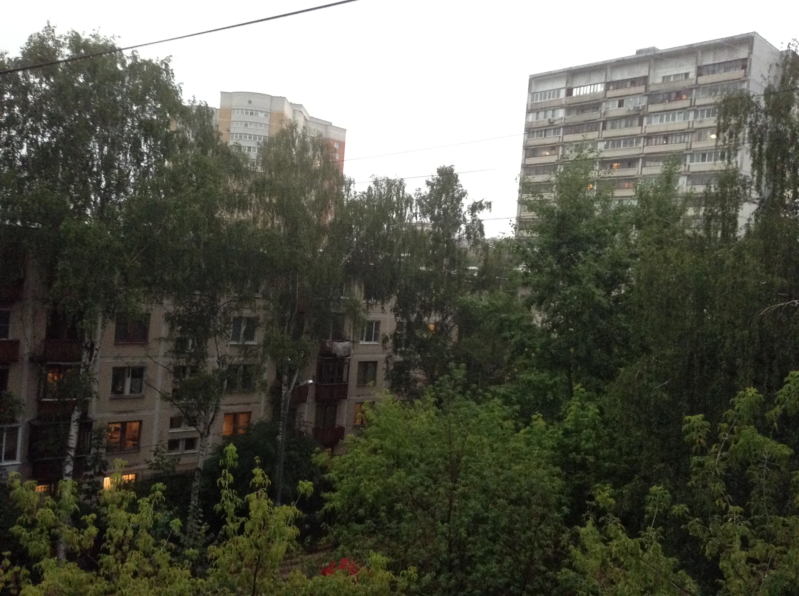 image.webp