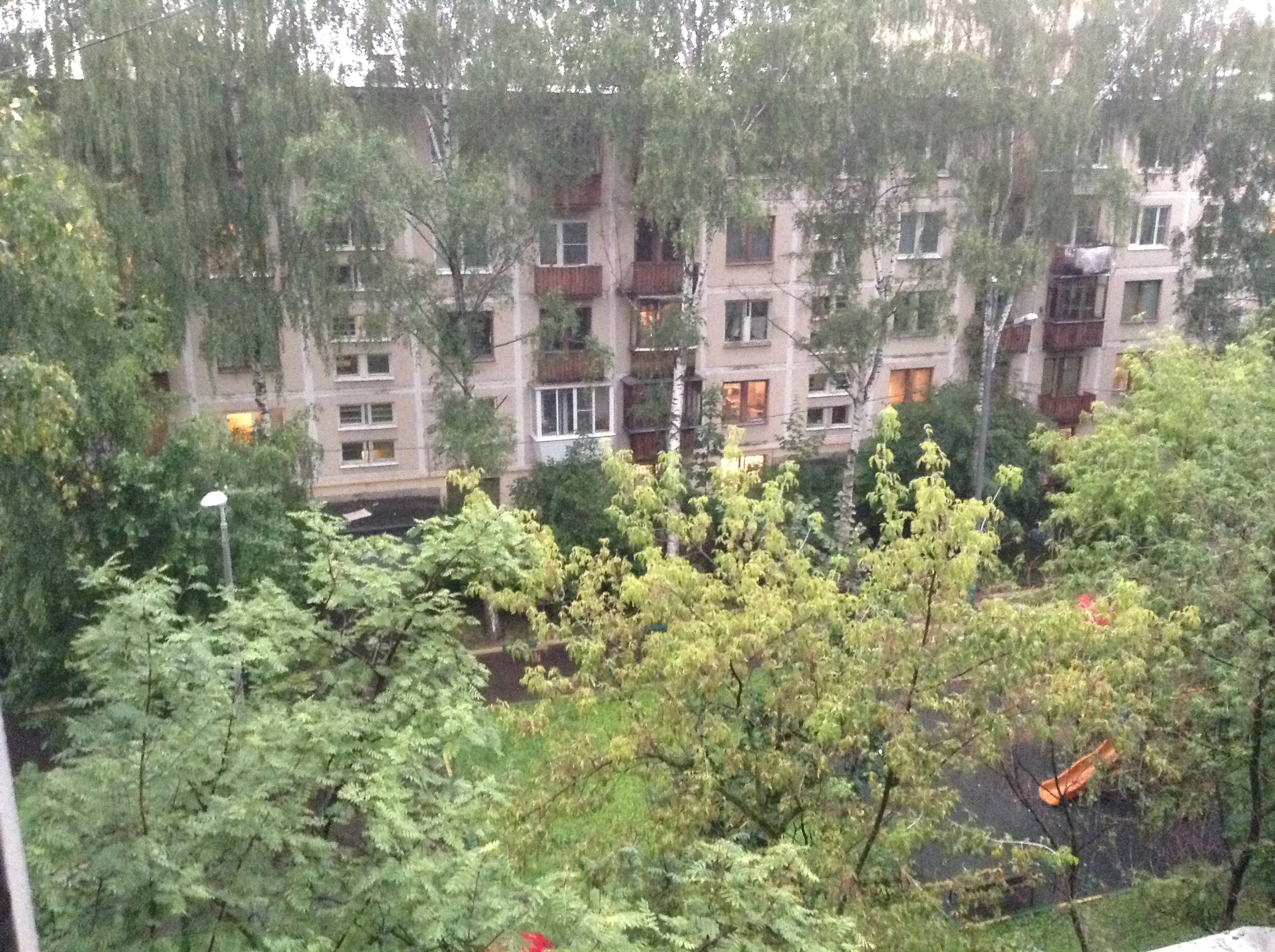 image.webp