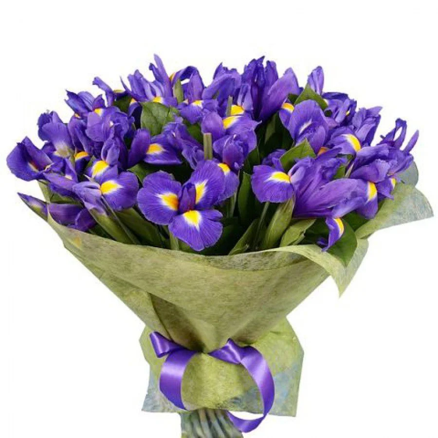 image.webp