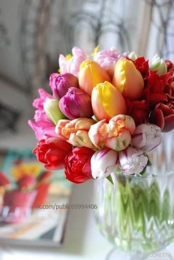 image.webp