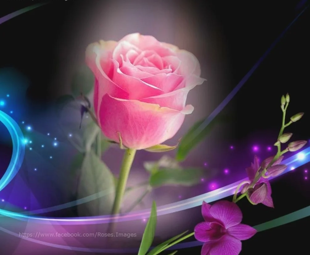 image.webp