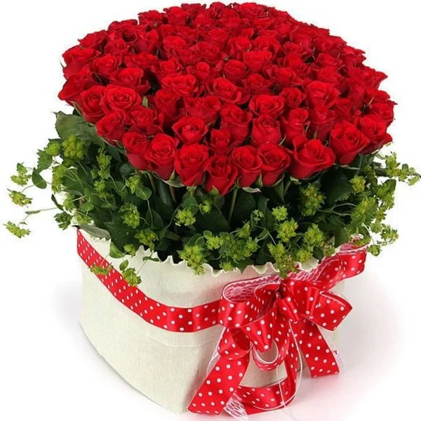 image.webp