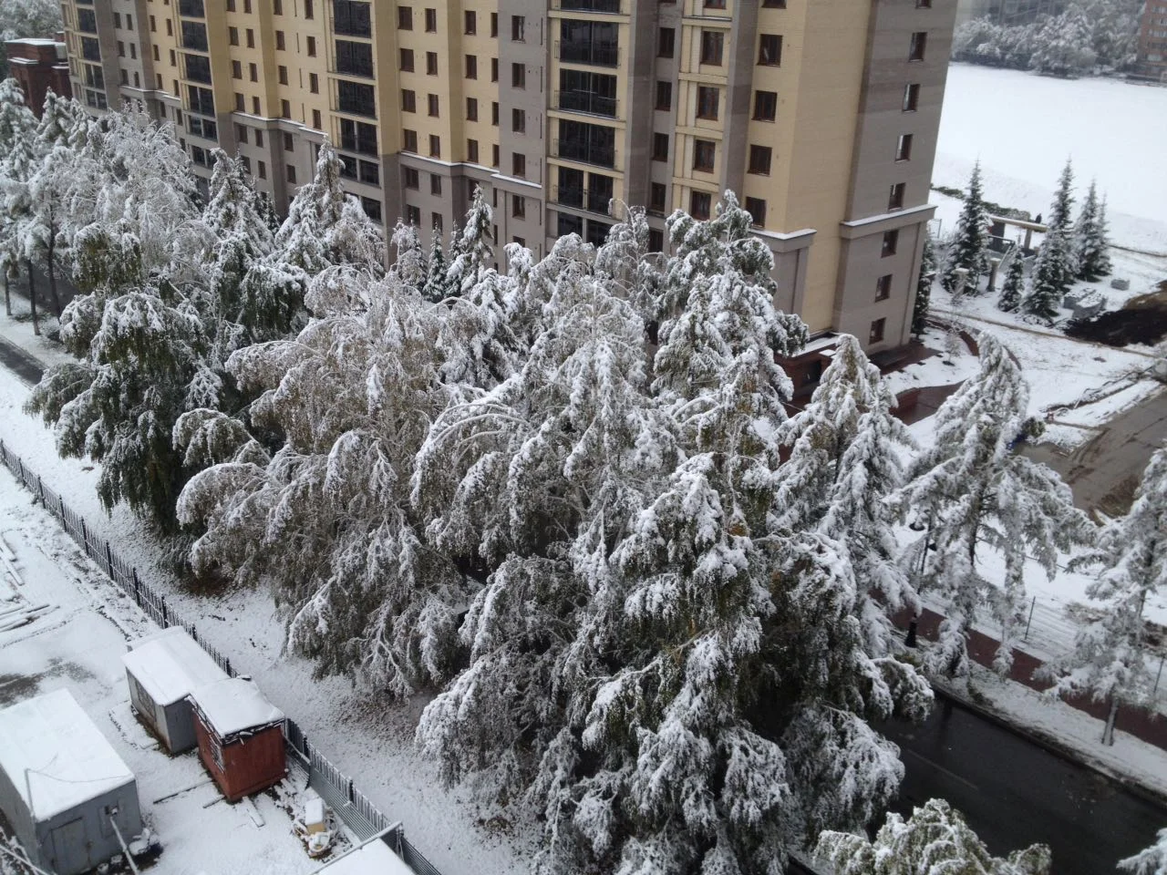 image.webp