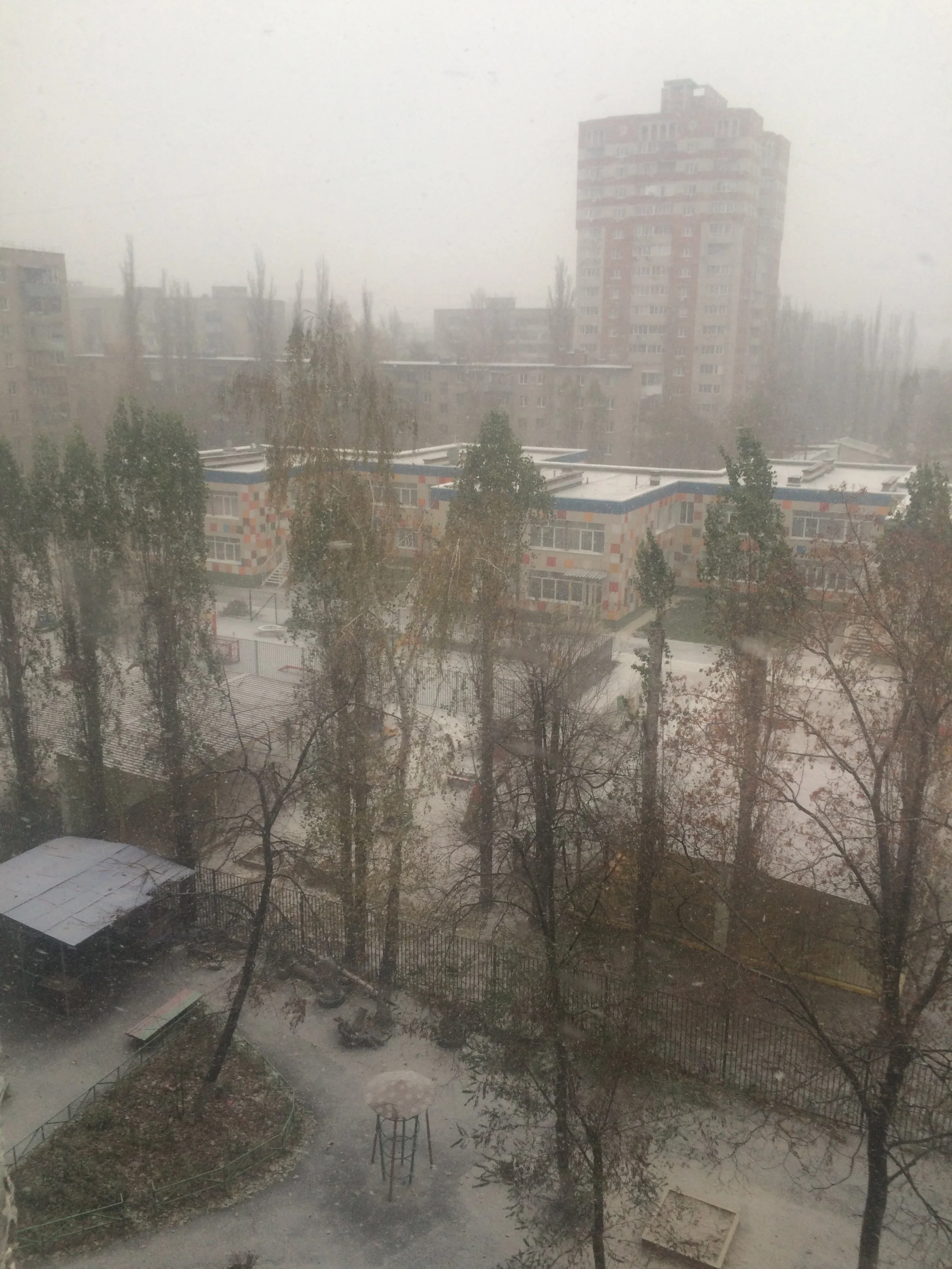 image.webp