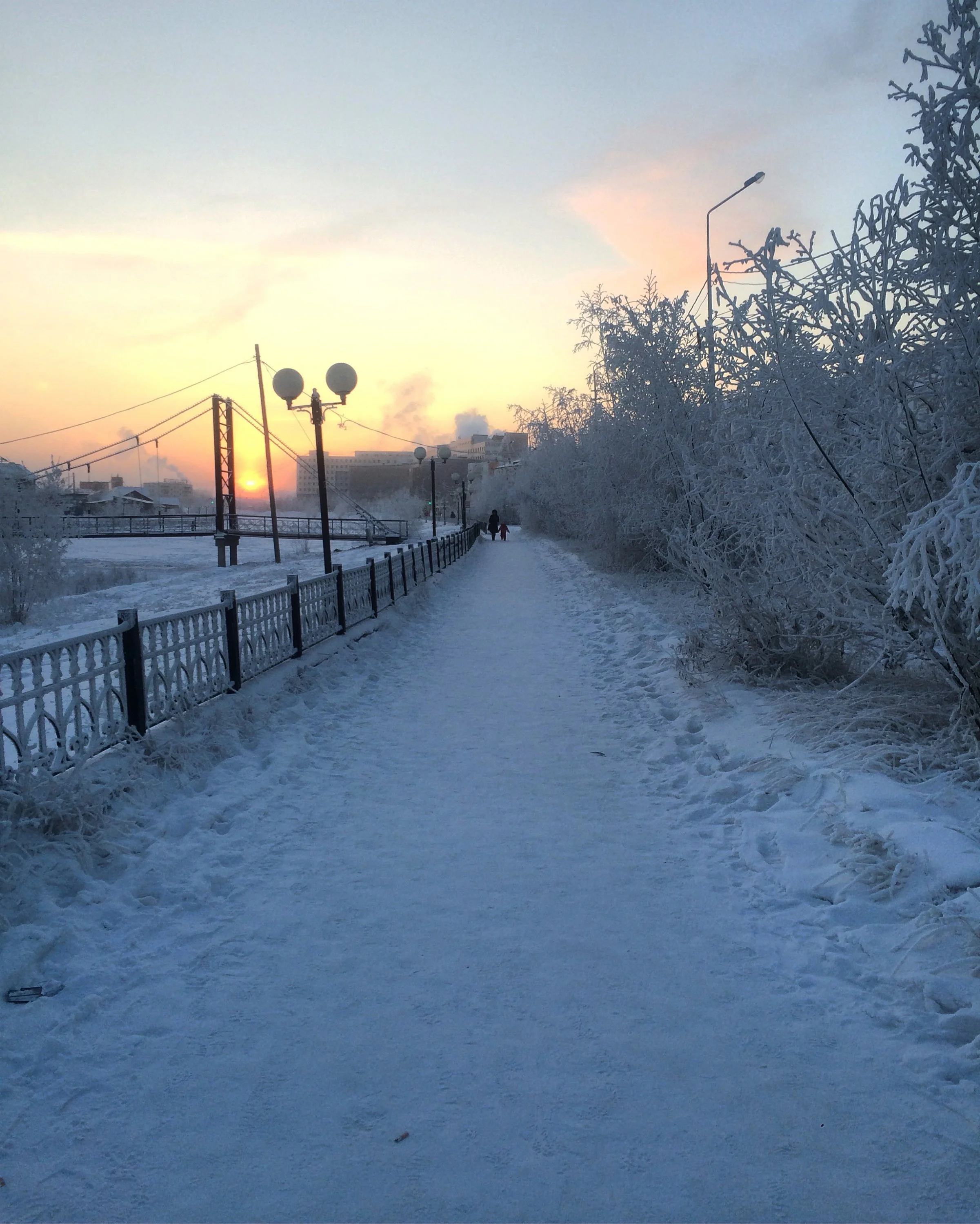 image.webp
