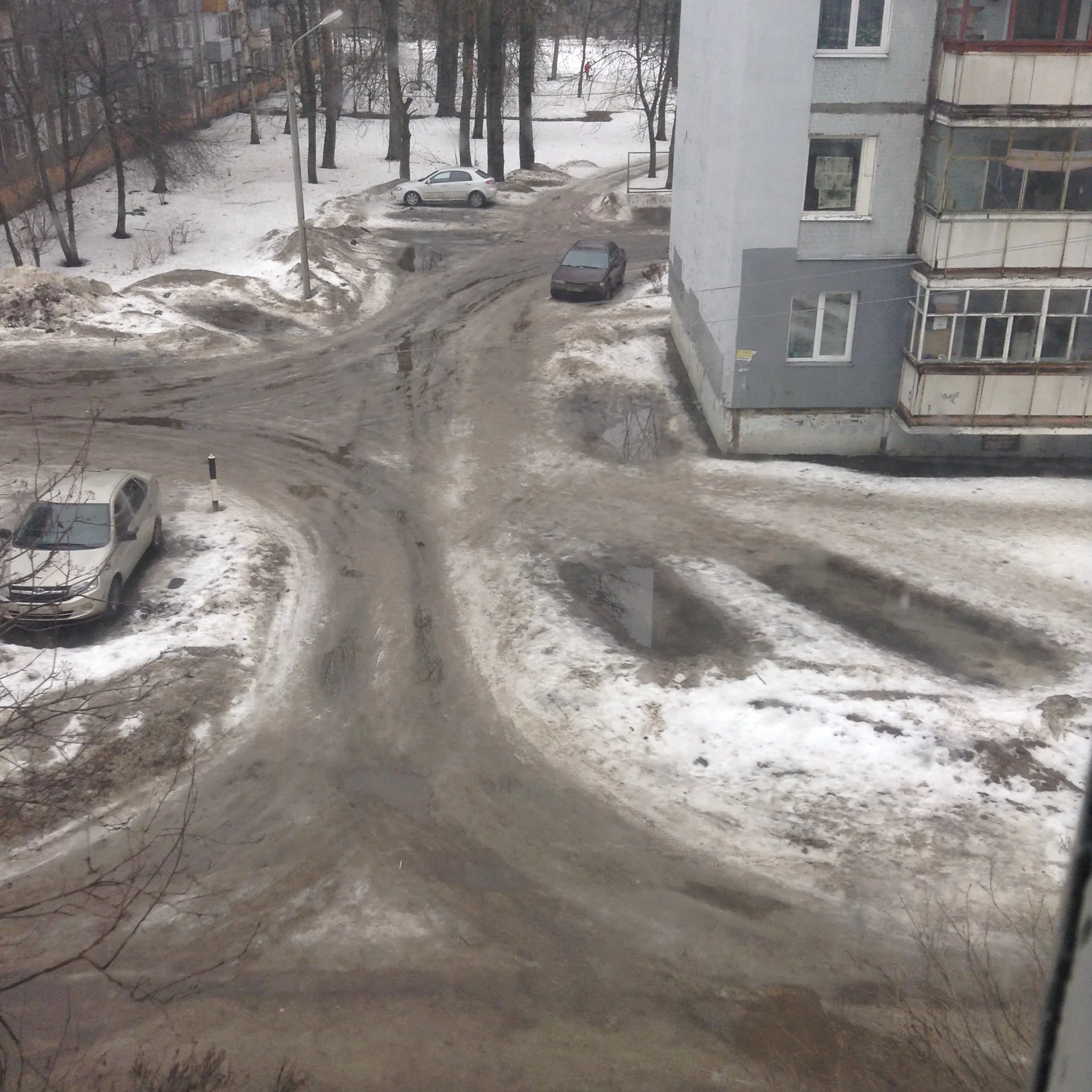 image.webp