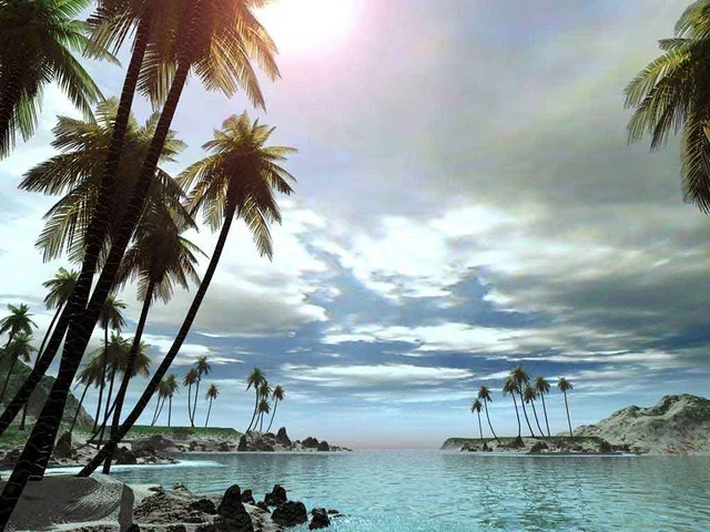 image.webp