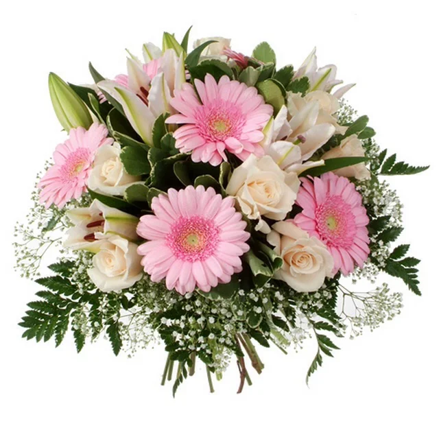 image.webp