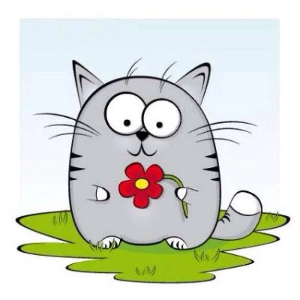 image.webp