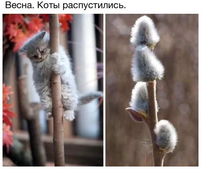 image3.webp