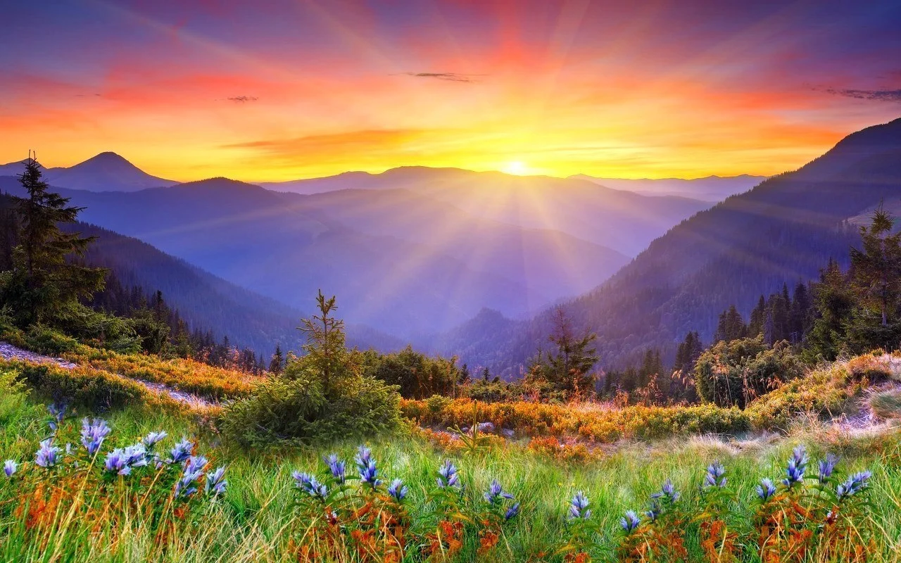 image_562507131103023749421.webp