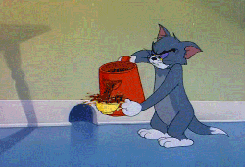image_860610152323377993528.gif