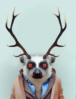 imageйцуке - копия.webp