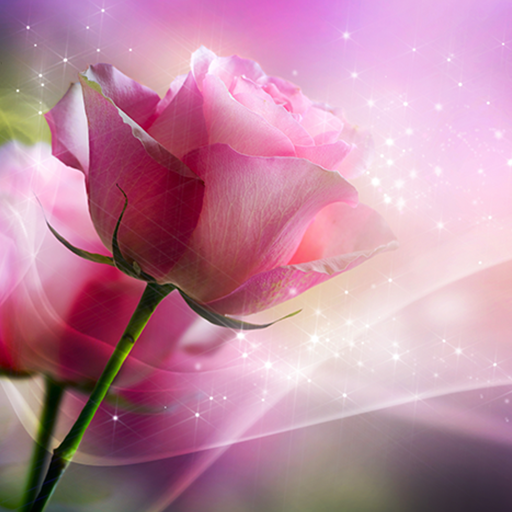 imagen-pink-roses-live-wallpaper-0ori.png