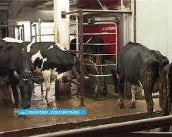 images (1).webp images (1).webp