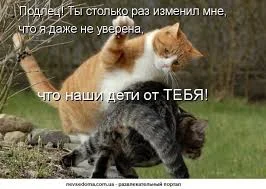 images (1).webp