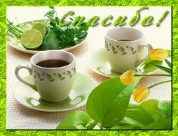 images (11).webp