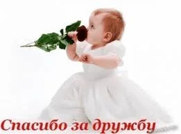 images (11).webp