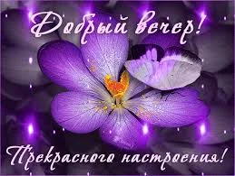 images (12).webp