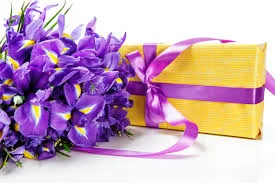 images (13).webp