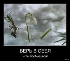 images (15).webp